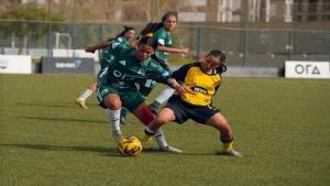 سيدات وادي دجلة تحققن إنجازًا بالتأهل لنهائي كأس مصر بعد الفوز على زد