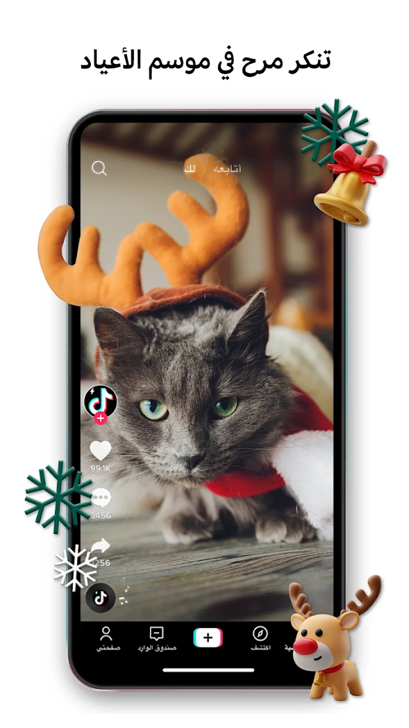 عرض الصورة 7 بالحجم الكامل