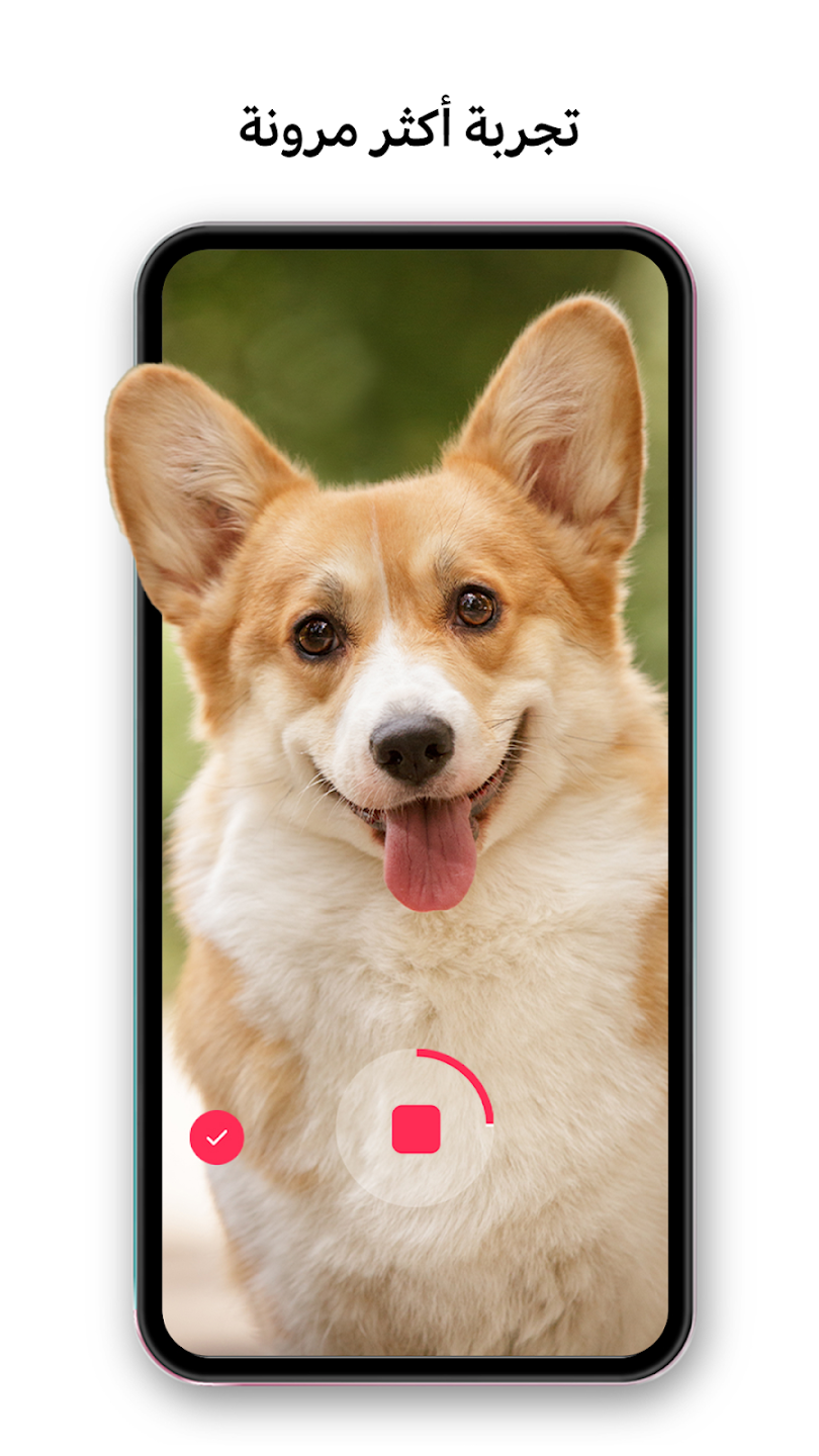 عرض الصورة 10 بالحجم الكامل