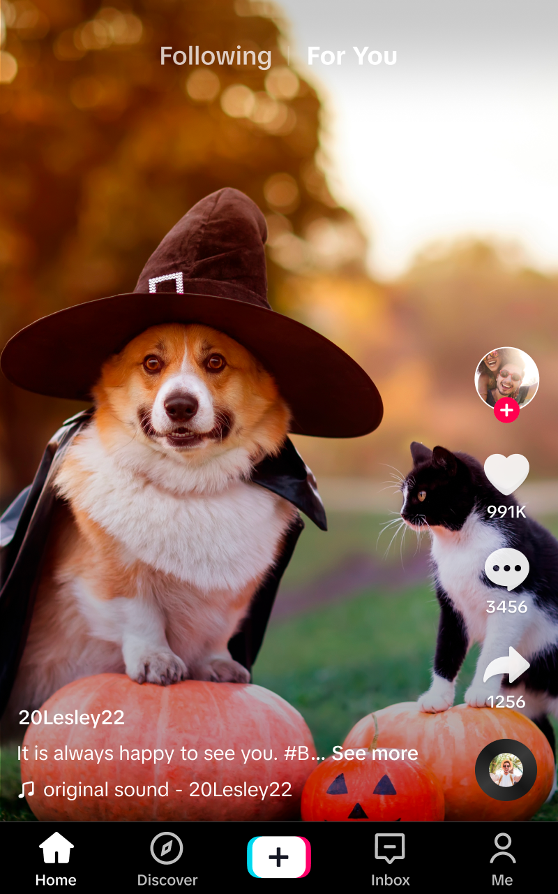 عرض الصورة 11 بالحجم الكامل